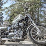 Harley motorcycle colors.