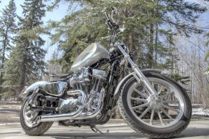 Harley motorcycle colors.