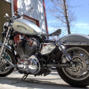 Green Ghost Pearl on Titanium Harley Custom Paint Job.