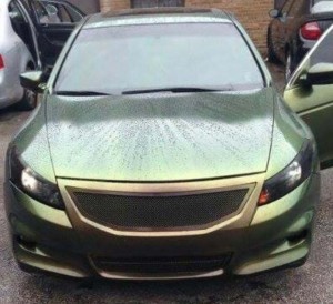 Chameleon Paint Pearls reptile wet hood 4739CS