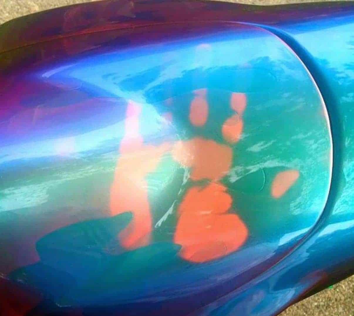 John Haro's handprint on his thermochromic paint covered motorcycle tank. Achieved by mixing black thermochromic paint pigment with any 79 or 59 series chameleon. Temperature changing chameleon paint!